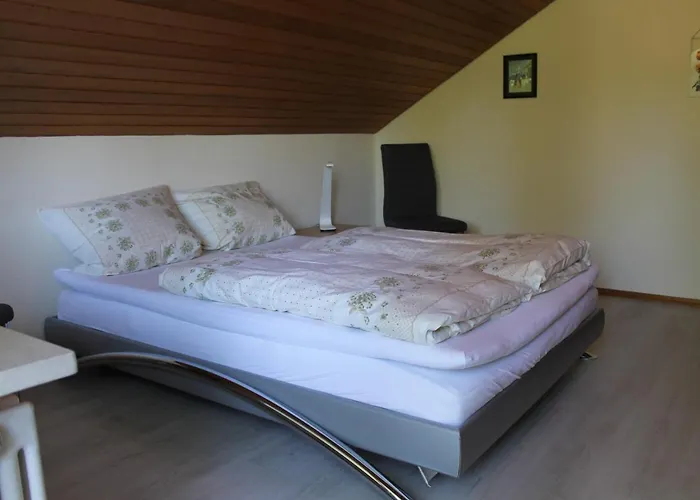 Blick Ins Gruene * 于伯林根